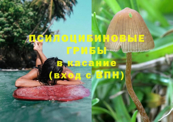 меф Балахна