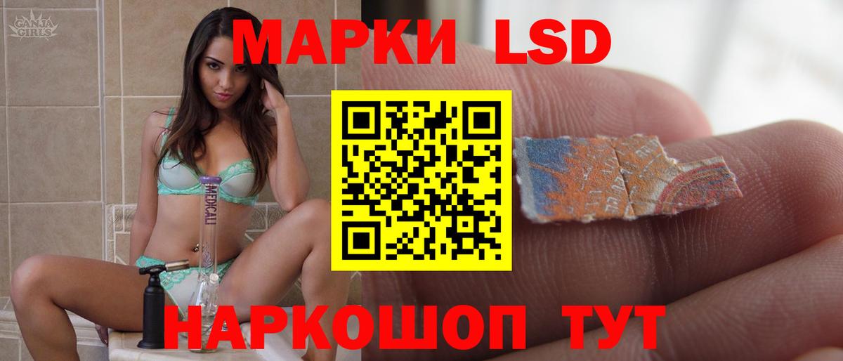 Гудермес  Лсд 25 экстази кислота  Вход с VPN  Лсд 25 экстази кислота 