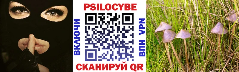 Псилоцибиновые грибы MAGIC MUSHROOMS  Гудермес 