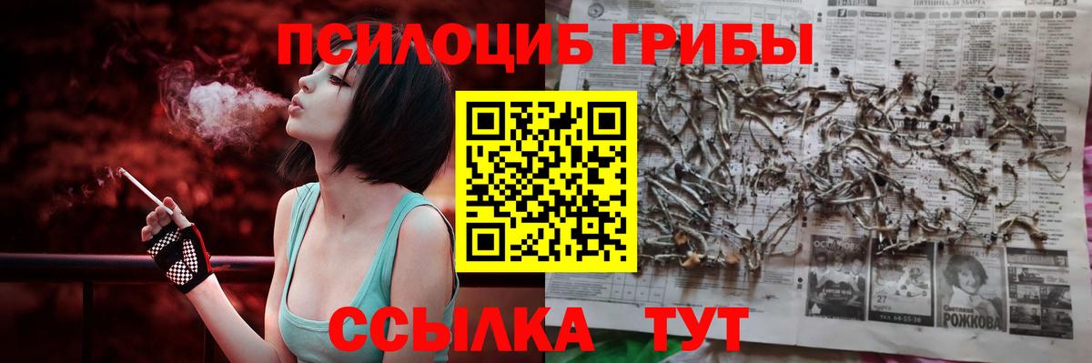 Галлюциногенные грибы Cubensis  Вход с VPN  цена наркотик  Галлюциногенные грибы Magic Shrooms  Гудермес 